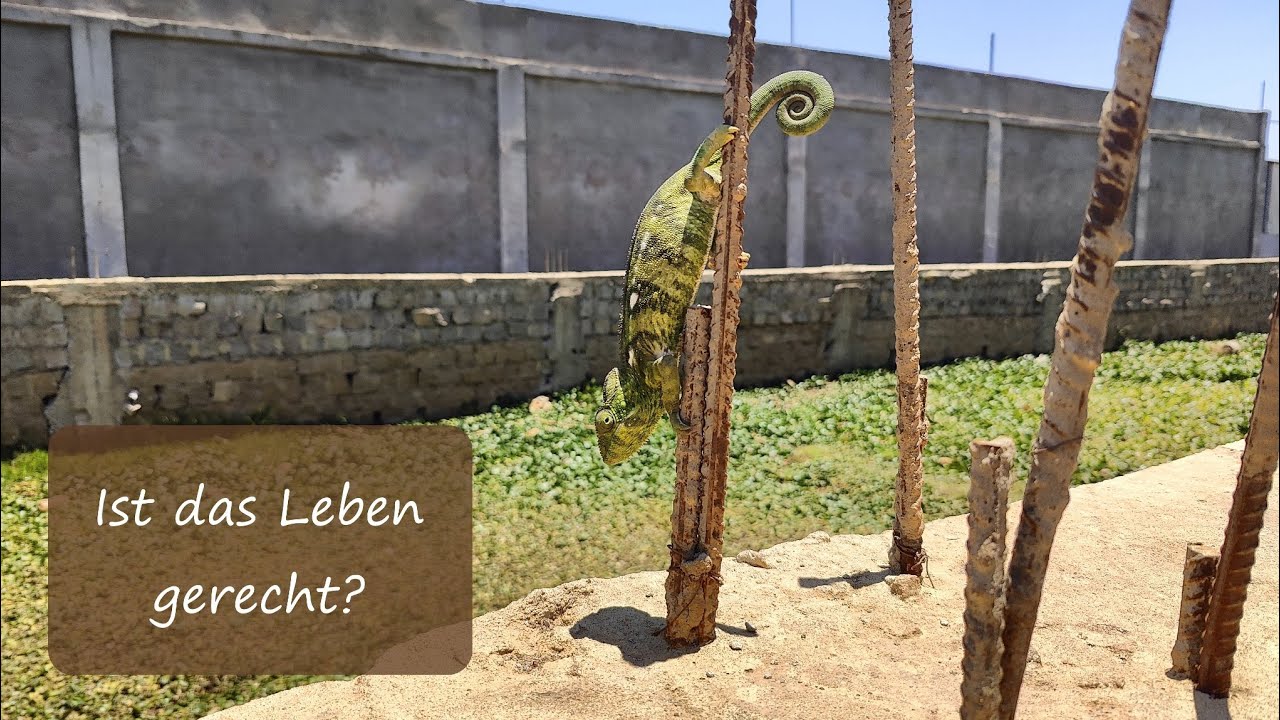 Willkommen bei der Happy Clappy Family