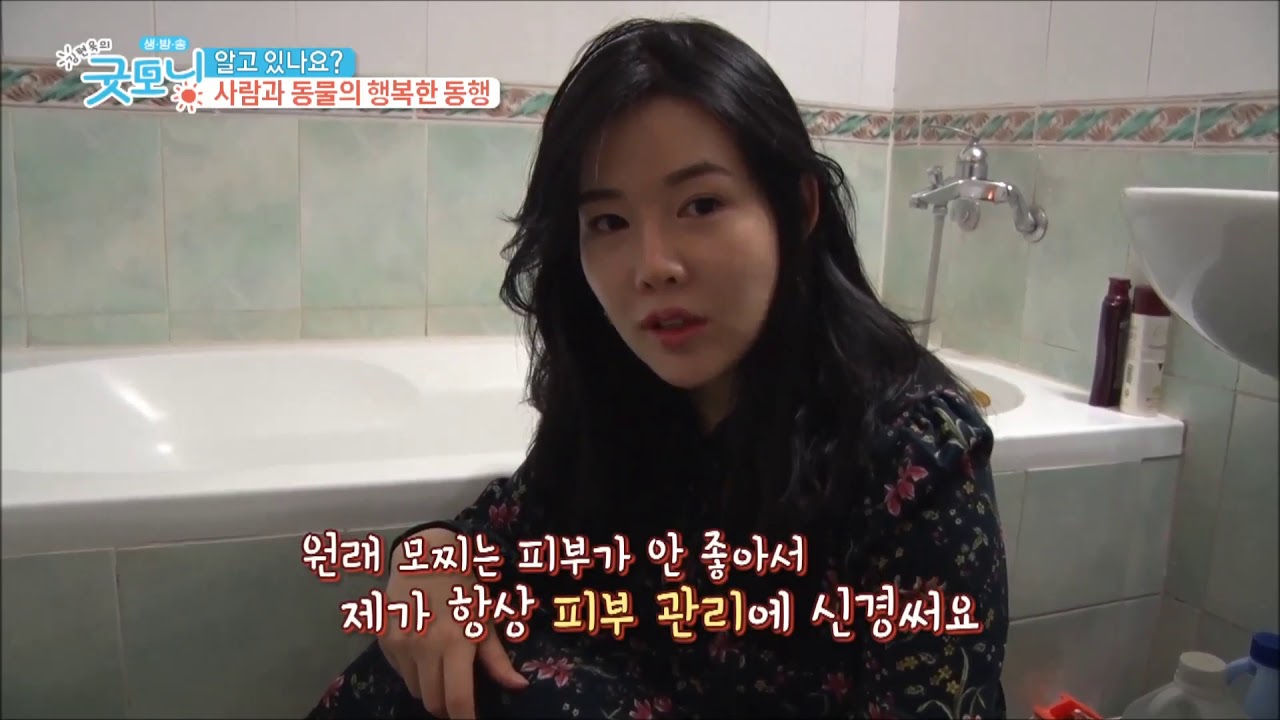[몽스파] Mong SPA / pet spa 몽스파