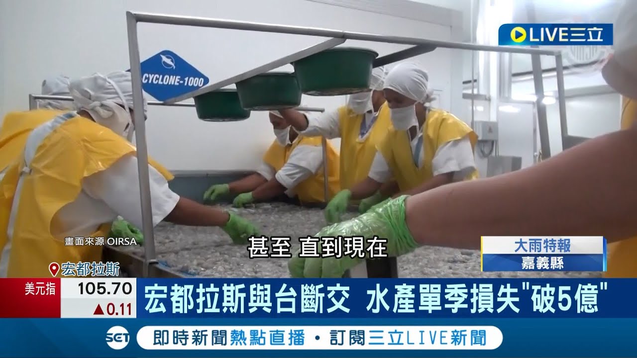 與台斷交後超慘! 宏都拉斯白蝦養殖場倒6成 與台斷交萬人失業! 宏國蝦農崩潰引發危機 中國不是好歸宿! 宏國蝦農盼轉賣南韓求生｜記者 劉玨妤｜【國際大現場】20240426｜三立新聞台