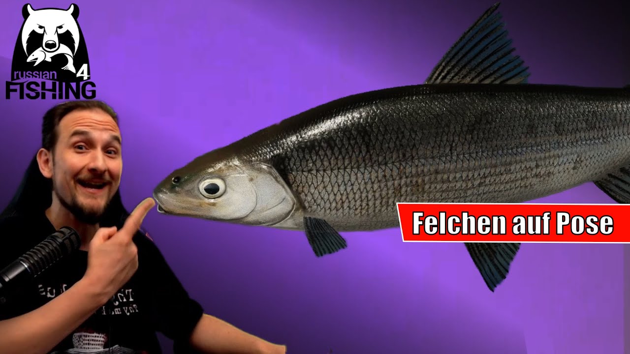 Russian Fishing 4 - Ladoga Archipel - Posen Spot, Felchen und Co.