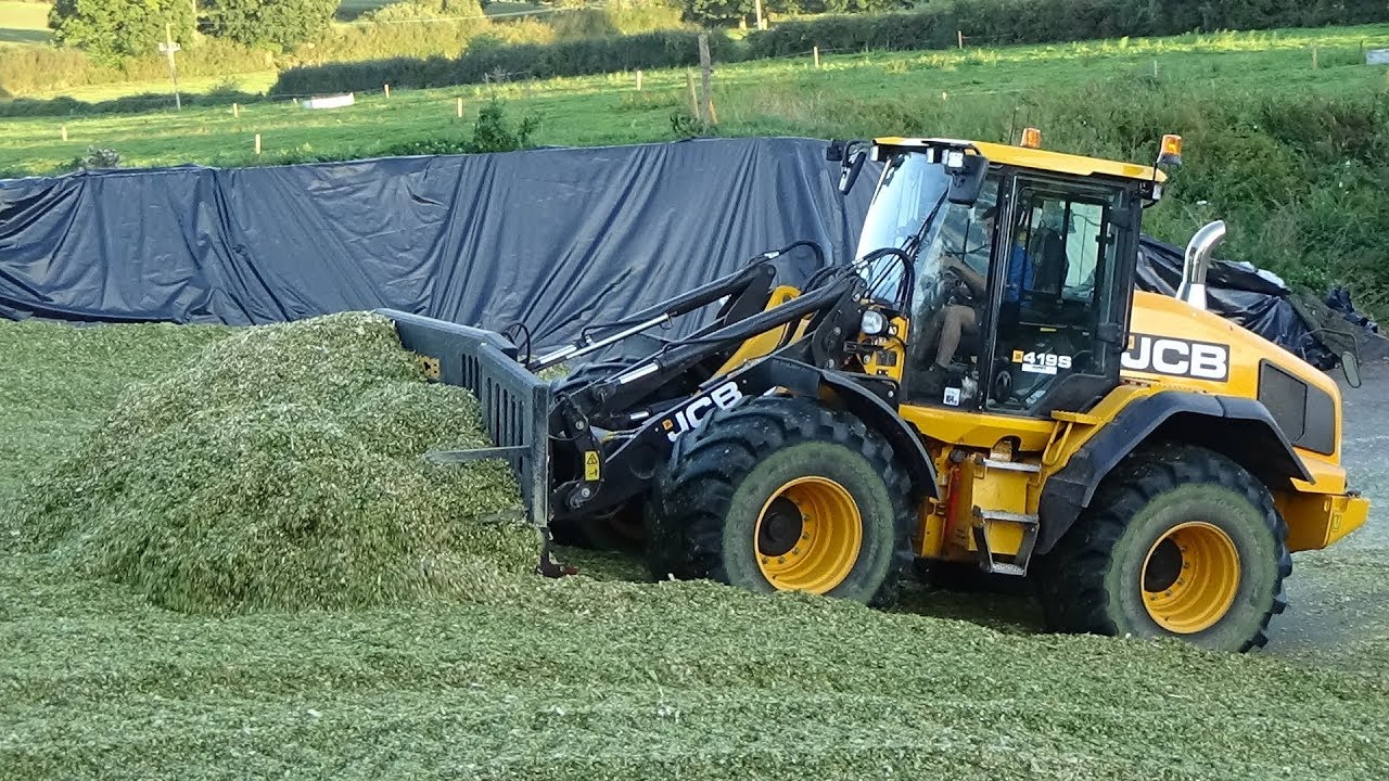 Maize Harvest 2019 - NEW JCB 419S Buckraking maize plus New Holland unloads