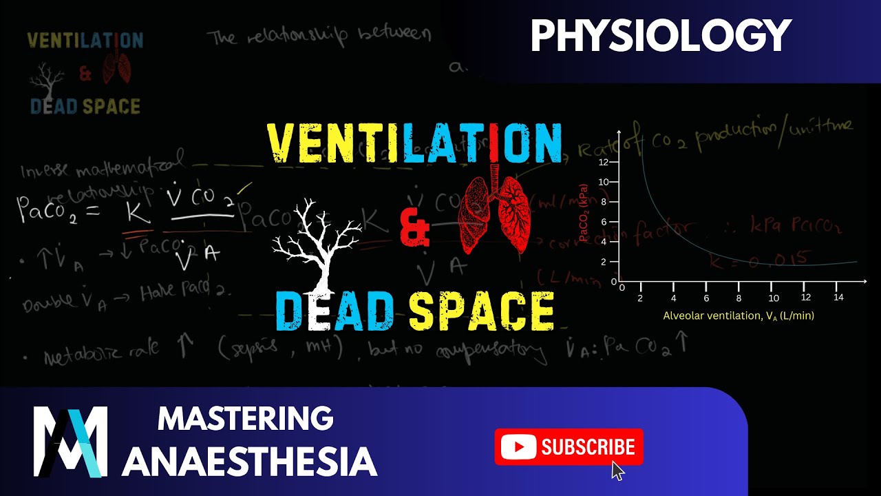Ventilation And Dead Space EXPLAINED Physiology Made Easy