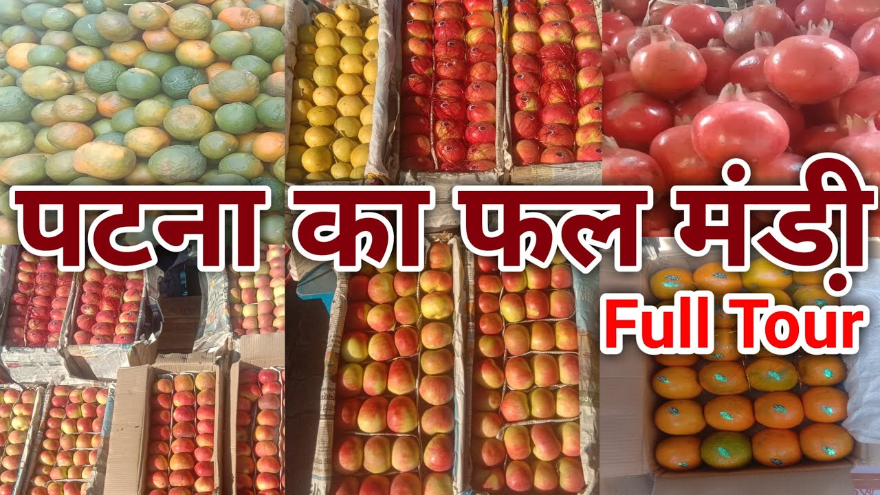 Patna Ka Fruit Market Full Tour | Fruit Mandi In Patna | Fruit Market | Cheapest Fruit Market