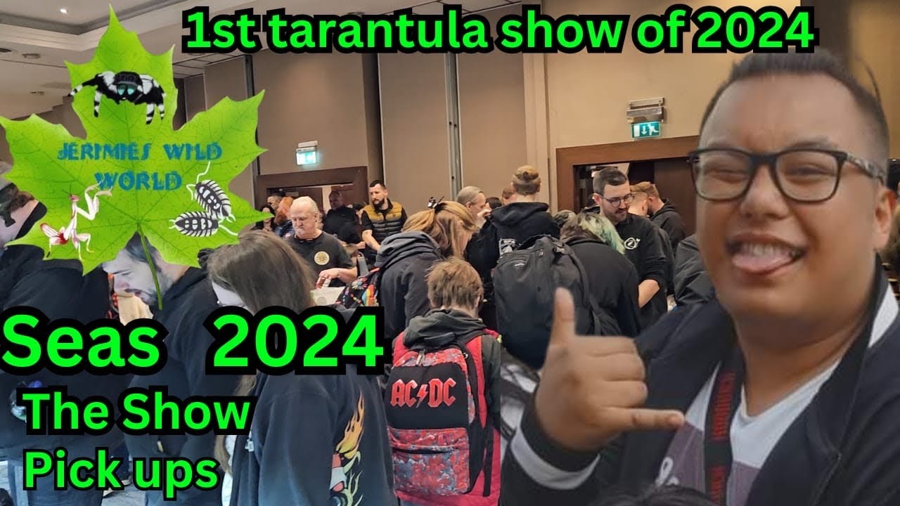 South East Arachnid Show 2024!! SEAS *PICKUPS*!!