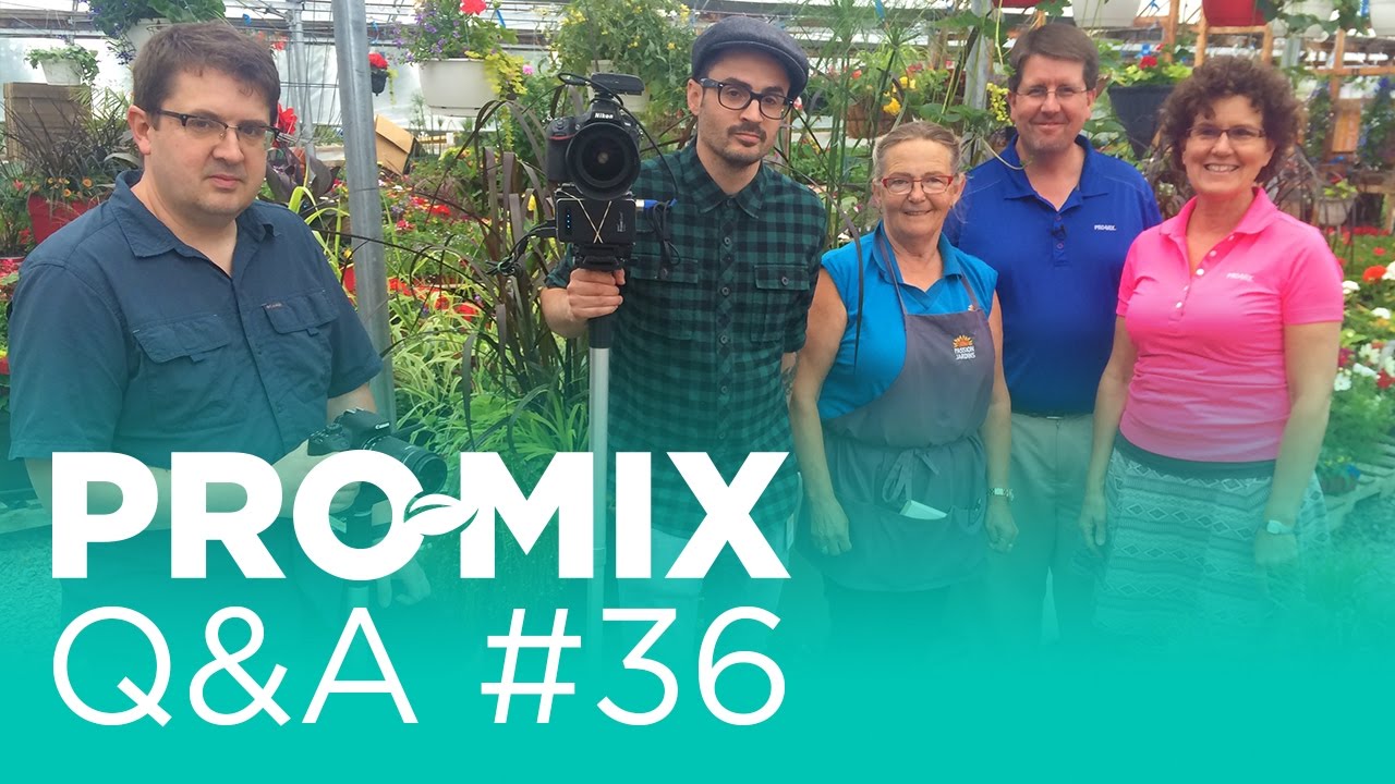 Best Growing Media for Outdoor Perennials?