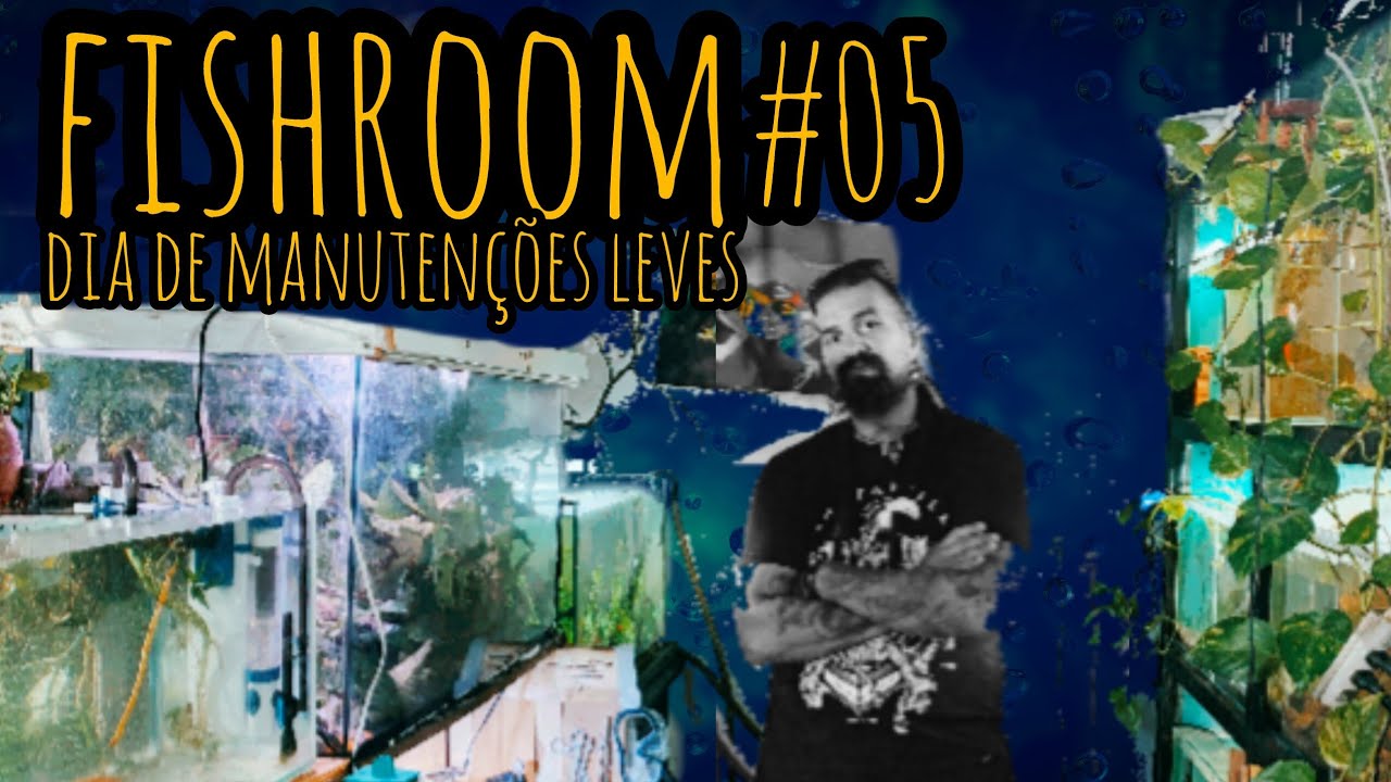 Fishroom #05 - Manutenções leves - Mudança de peixes - Alevinos - Algas - Aqua Gama