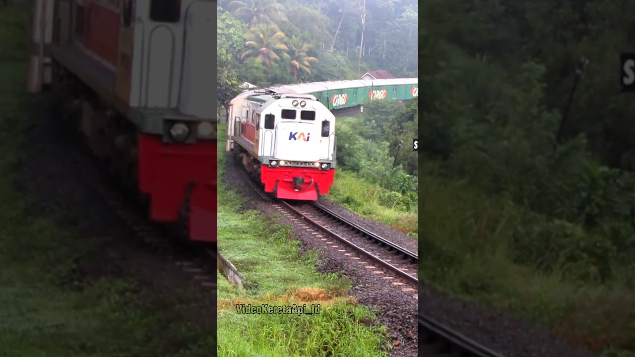 Kereta Parcel Selatan Meliuk Indah Ketika Melewati Jalur berkelok