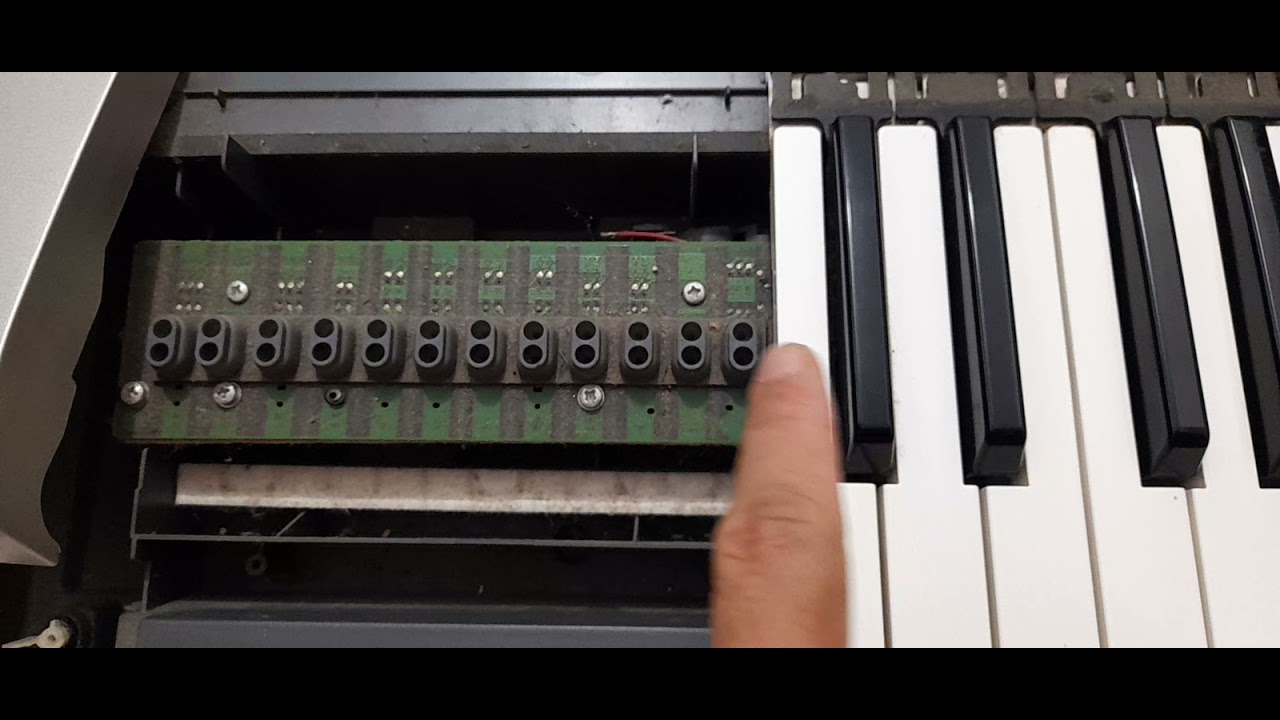 Dicas de limpeza da Régua e das borrachas de seu teclado. Com TIAGO MALLEN (Está Dica Vai Te Salvar)