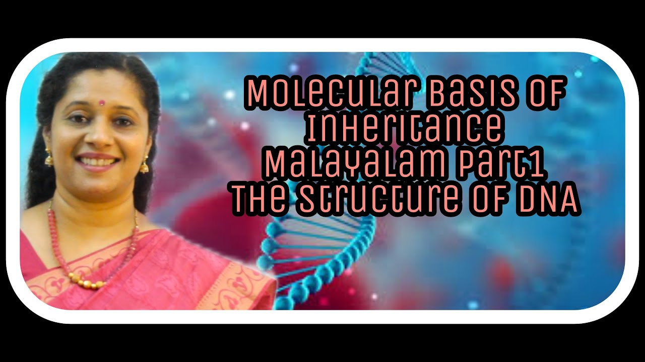 NEET: MOLECULAR BASIS OF INHERITANCE (MALAYALAM) PART 1: THE STRUCTURE OF DNA