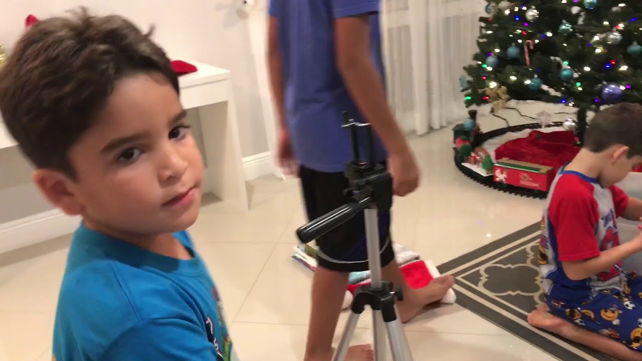 VLOGVEDA #8 DECORANDO A CASA PARA O NATAL