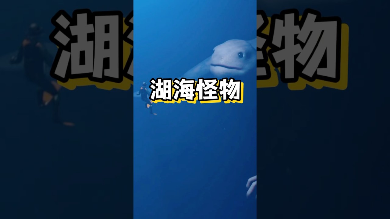 湖海中的未知生物#海洋生物 #科普#动物世界#未知生物#海外知新