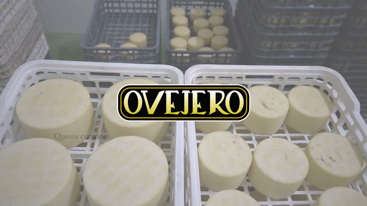 C&oacute;mo se hacen los quesos de Quesos Ovejero de Briviesca, Burgos