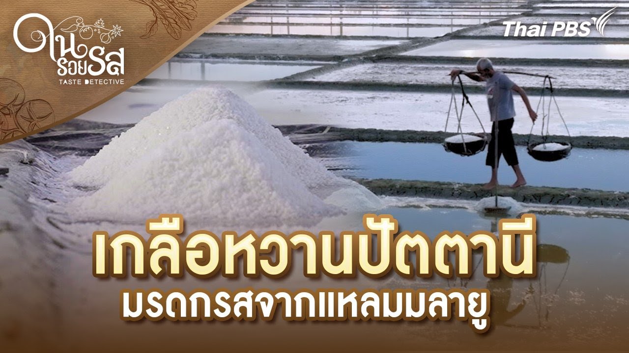 เกลือหวานปัตตานี มรดกรสจากแหลมมลายู | ในรอยรส Taste Detective