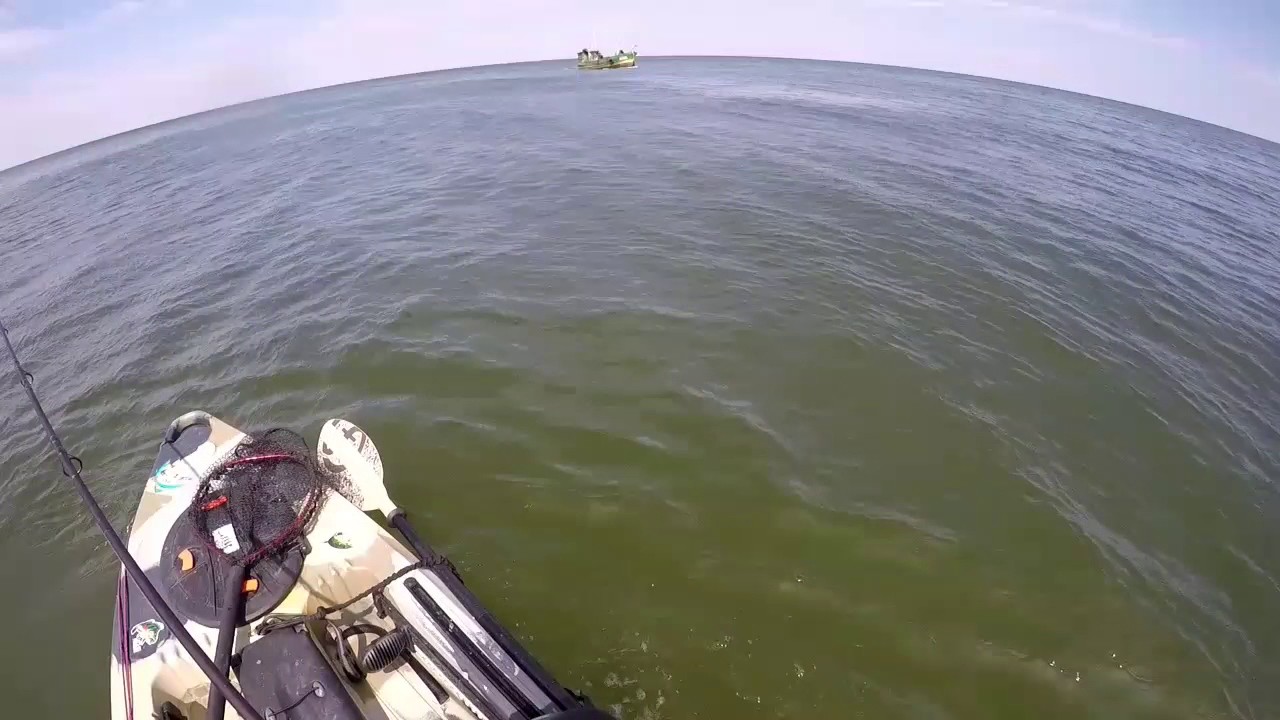 Belona z kajaka ( połów  na spławik i spinning)