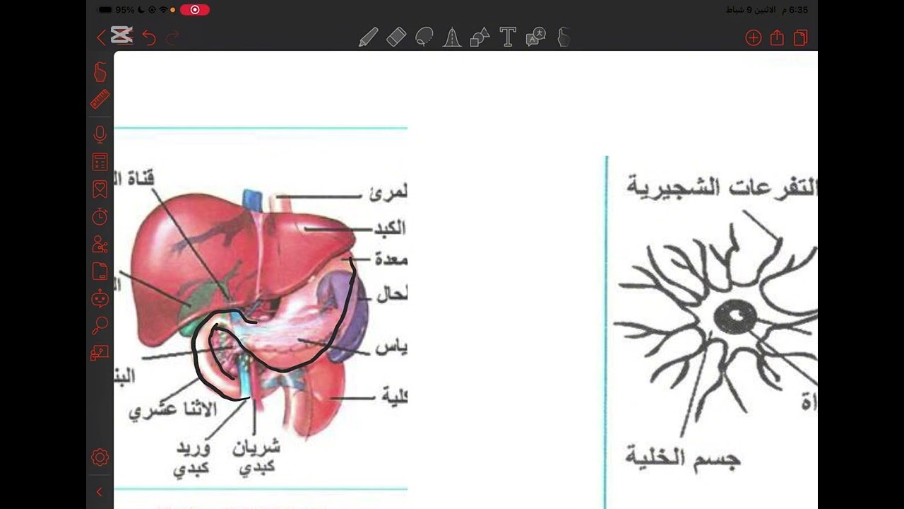 المراجعة المركزة احياء ثالث تمهيدي محاضرة 2