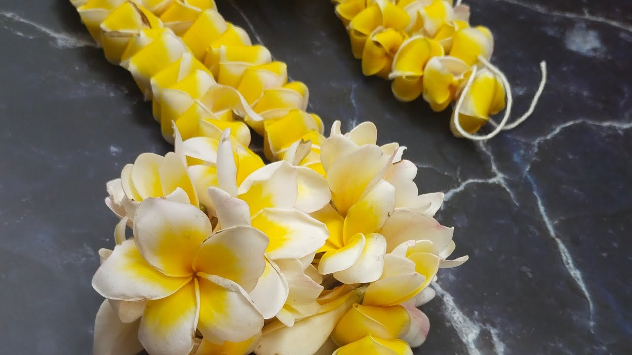 champa Garland in different style