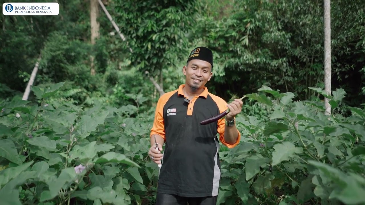 Profil Pondok Pesantren Entrepreneur Hafidz Qur'an (EHQ) by @bankindonesiabengkulu545