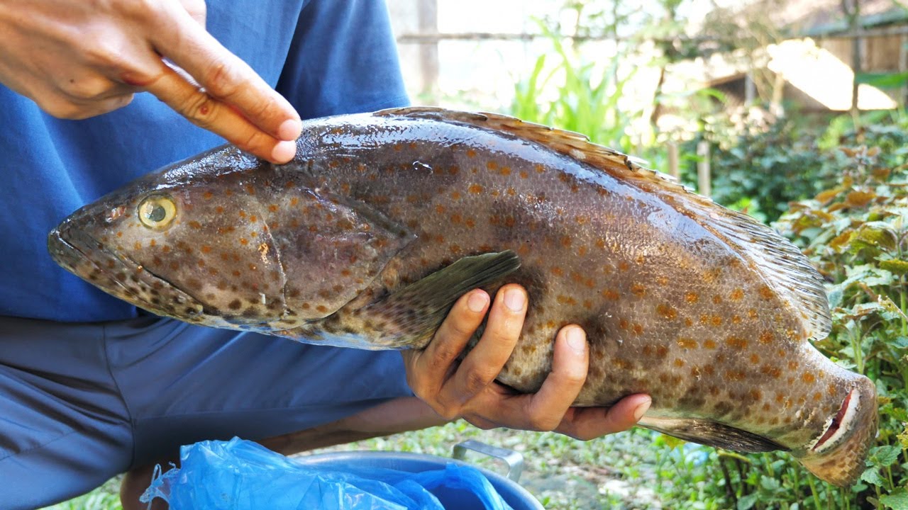 CƠM CHIỀU Ở BẢN