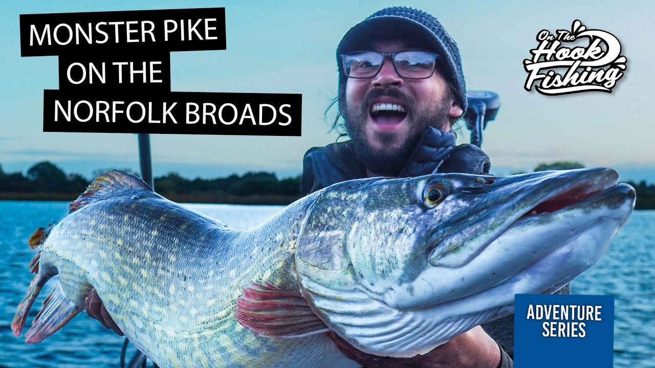 Monster 20lb Pike caught on the Norfolk Broads.