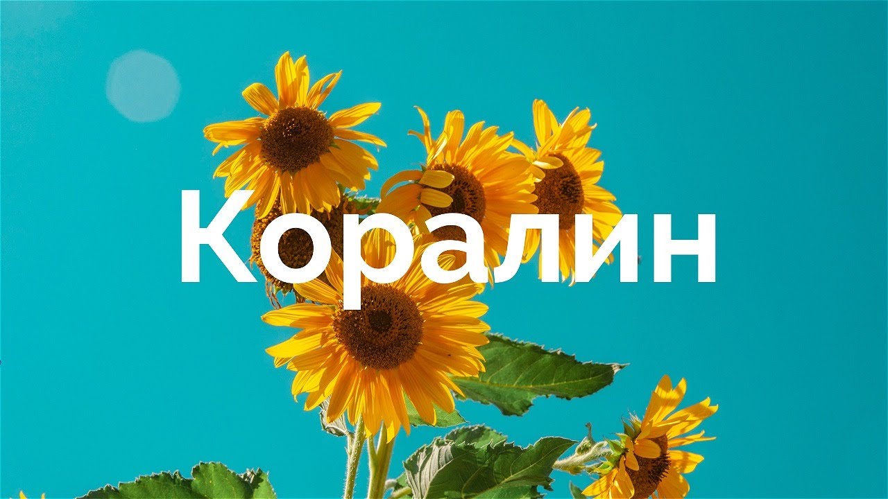 M&aring;neskin - CORALINE (Перевод на русский) 🌻