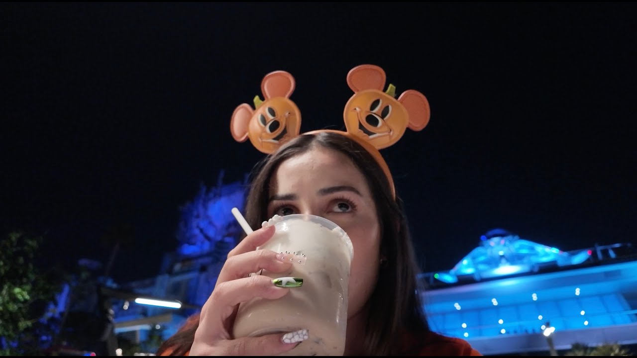 SOLO DISNEY DAY VLOGGY