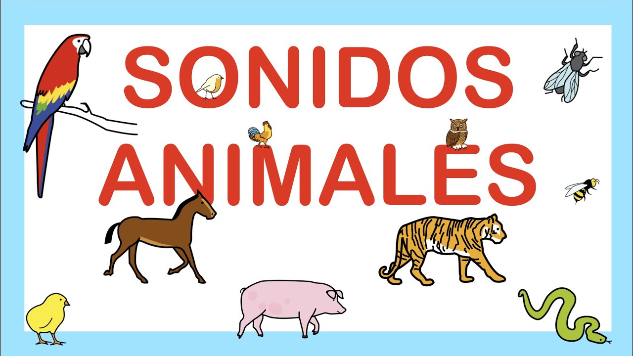 Sonidos de ANIMALES 🐶🐣🦆 ONOMATOPEYAS 🐝🐴🐔 Infantil