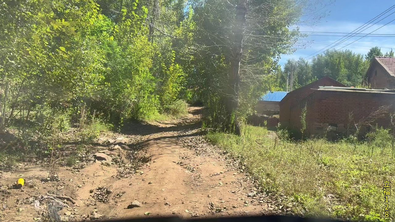 今天老孟翻山越岭，跋山涉水抓一头猪，关键养猪这爷们是个狠人#我的乡村生活 #农村生活 #记录真实生活 #猪价行情 #养猪人加油干