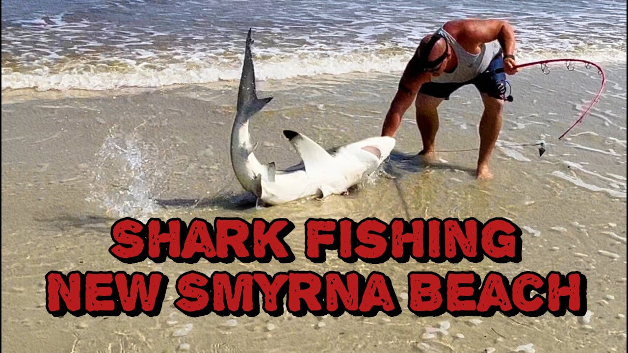 Shark Fishing In New Smyrna Beach 🦈🦈 {We  Caught A Huge Black Tip Shark}