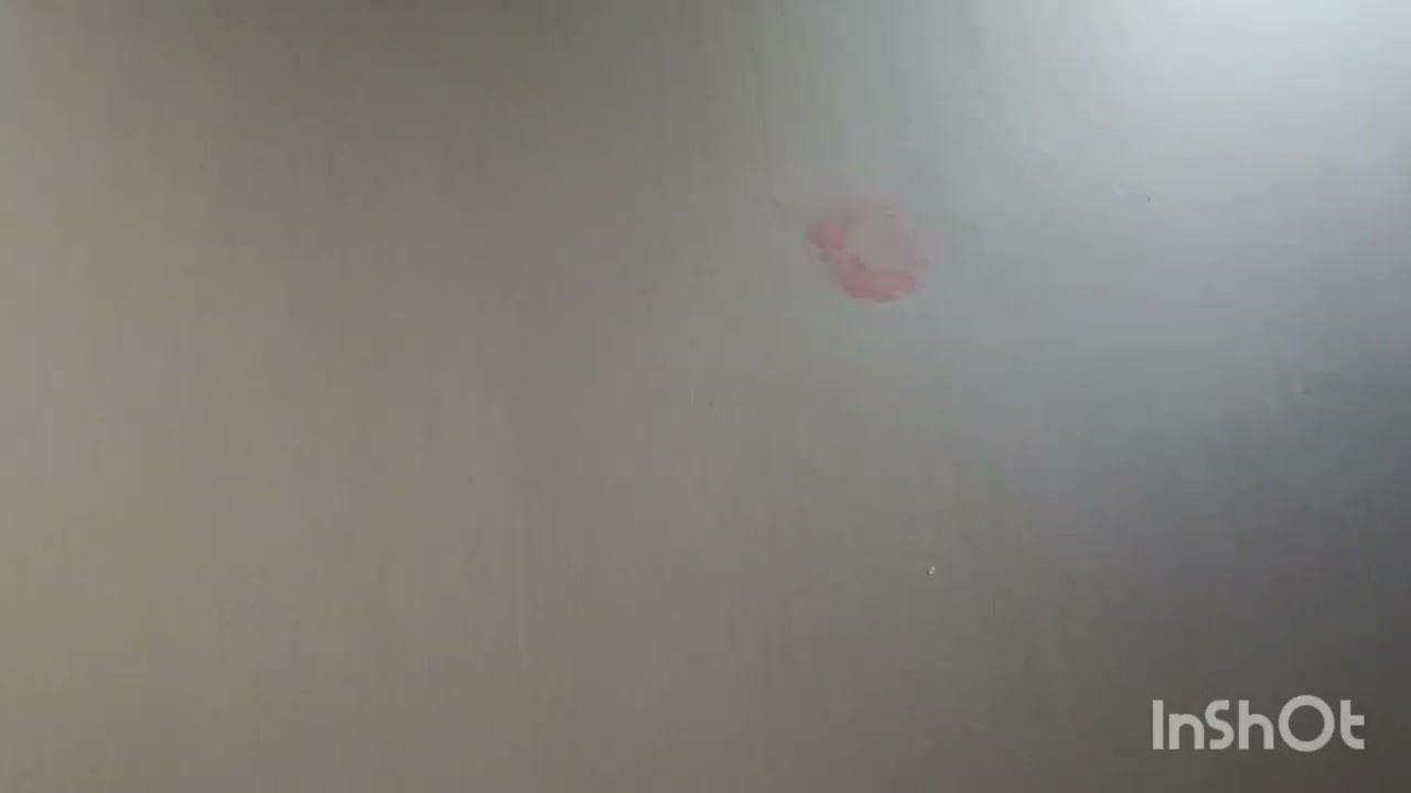 ಬಿಮಾ ಸಖಿ  ಆಗಲು ನಮ್ಮ ಮಾತೃ ಭಾಷೆಯಲ್ಲಿ ಪರೀಕ್ಷೆ ಬರಿಯಬಹುದು ಅಂದ್ರೆ ಕನ್ನಡದಲ್ಲಿ ಪರೀಕ್ಷೆ ಬರಿಯಬಹುದು .Bima Sakhi