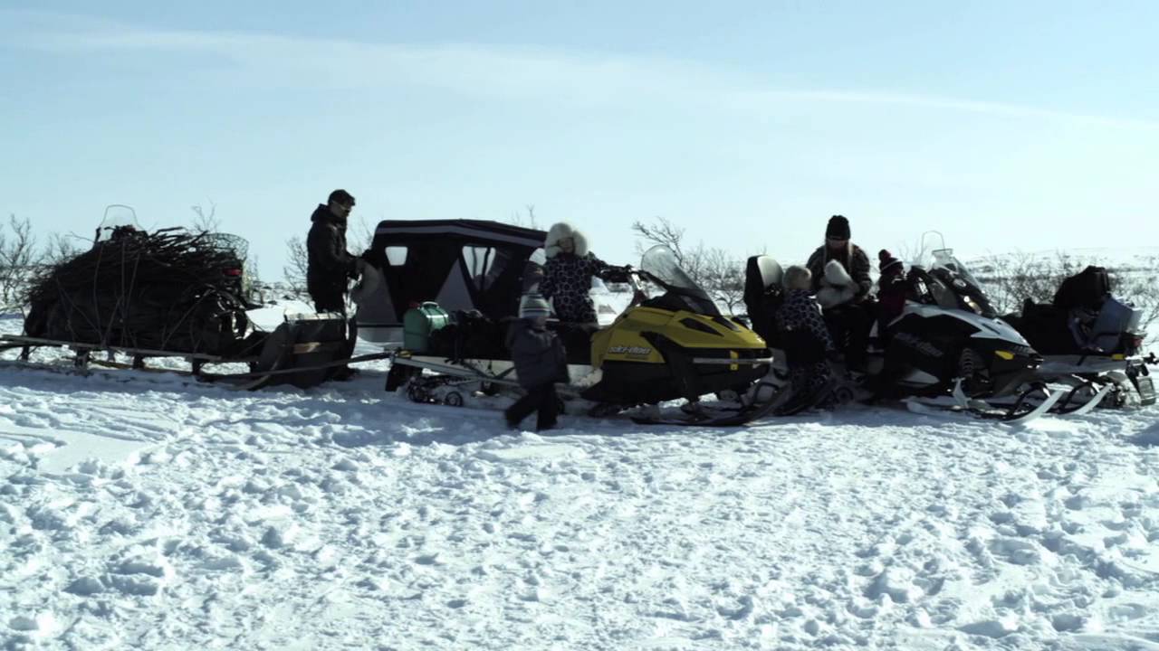 Film om reindrift
