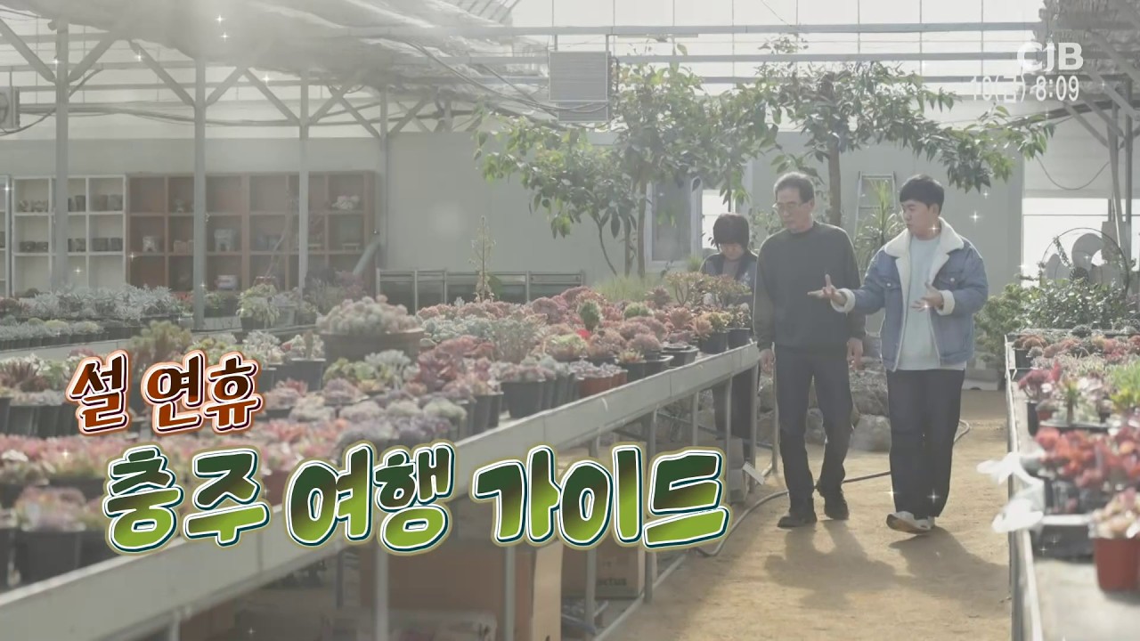 [CJB 모닝와이드] 설 연휴 충주 여행 가이드