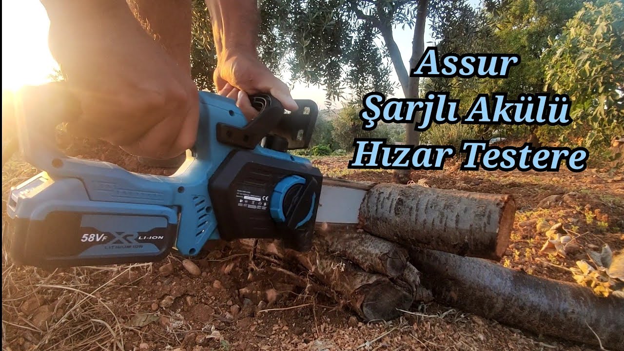 Assur Cordless Tree Cutting Pruning Saw. Cordless sawmill installation, cleaning, operation, cutting