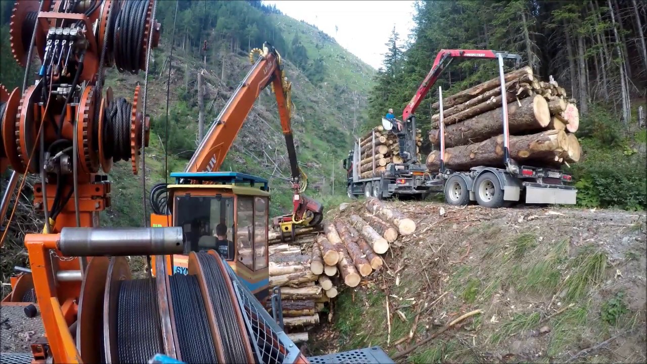 HP-Holz Windwurf im Mölltal