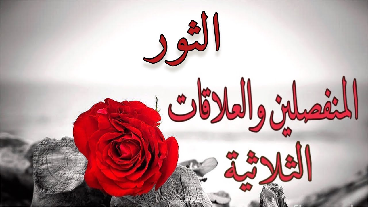 برج الثور ♉️ تهكير عقل الحبيب المبتعد💔 وقراءة المتواجدين داخل علاقات الثلاثية 👩🏼‍🤝‍👨🏻🧍🏻‍♀️