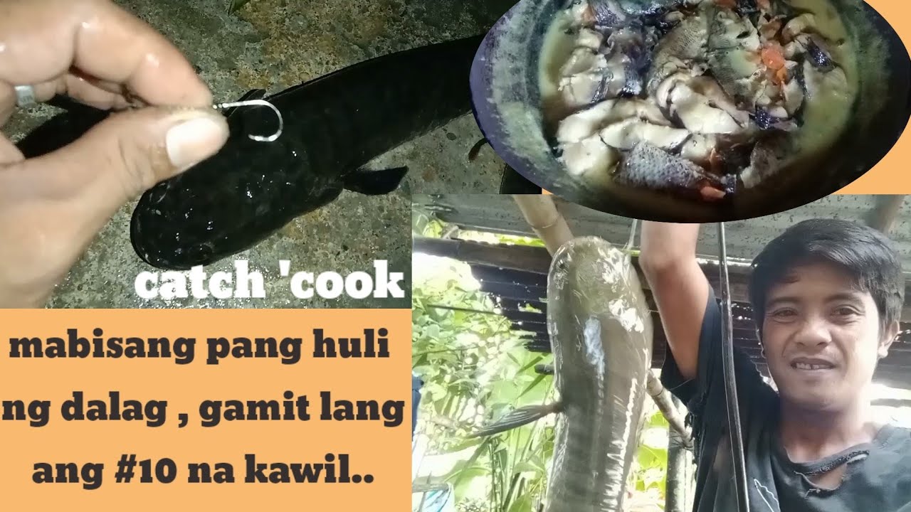 epektibong pang huli sa dalag(snake head) catch'n cook..