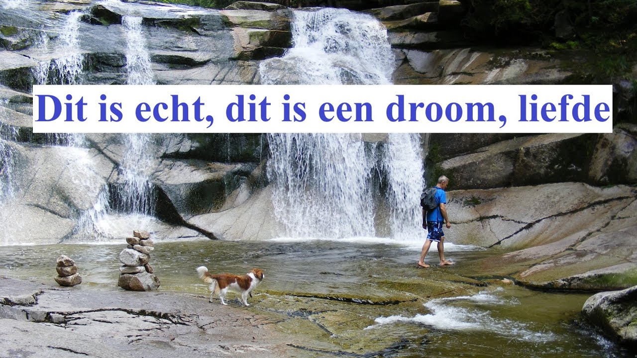 Dit is echt, dit is een droom, dit is liefde