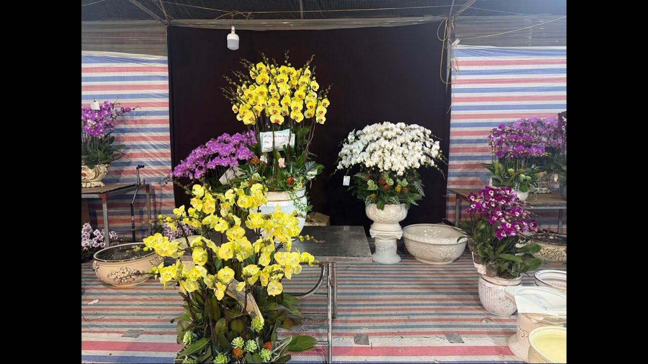 3/2 VÀO MUA HÀNG NÀO CÁC CỤ 0906110068