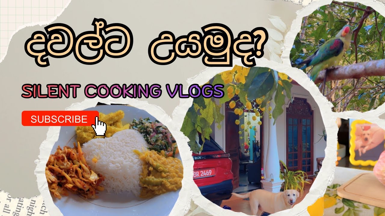 Silent cooking vlogs.එන්න මාත් එක්ක දවල්ට උයන්න.#dayvlog  #unizone #cooking 