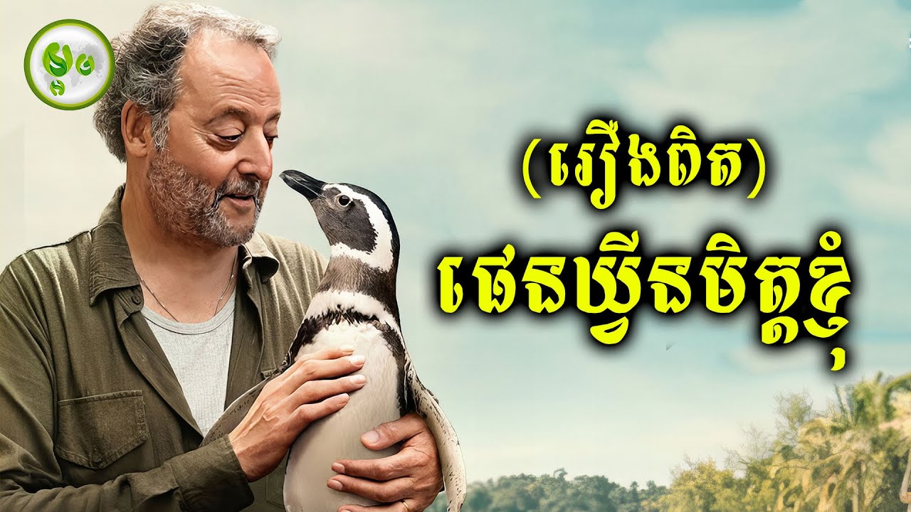 ផេនឃ្វីនមិត្តភក្តិរបស់ខ្ញុំ (រឿងពិត) | ម្អម សម្រាយរឿង
