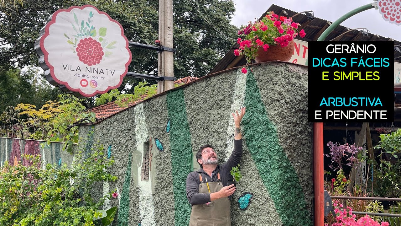 Flor o ano todo: GERÂNIO Dicas Fáceis e Simples