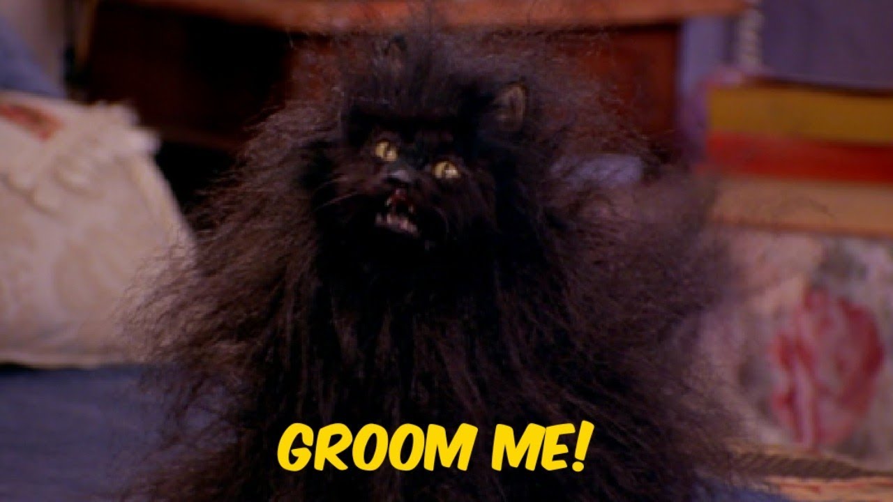 Salem Saberhagen