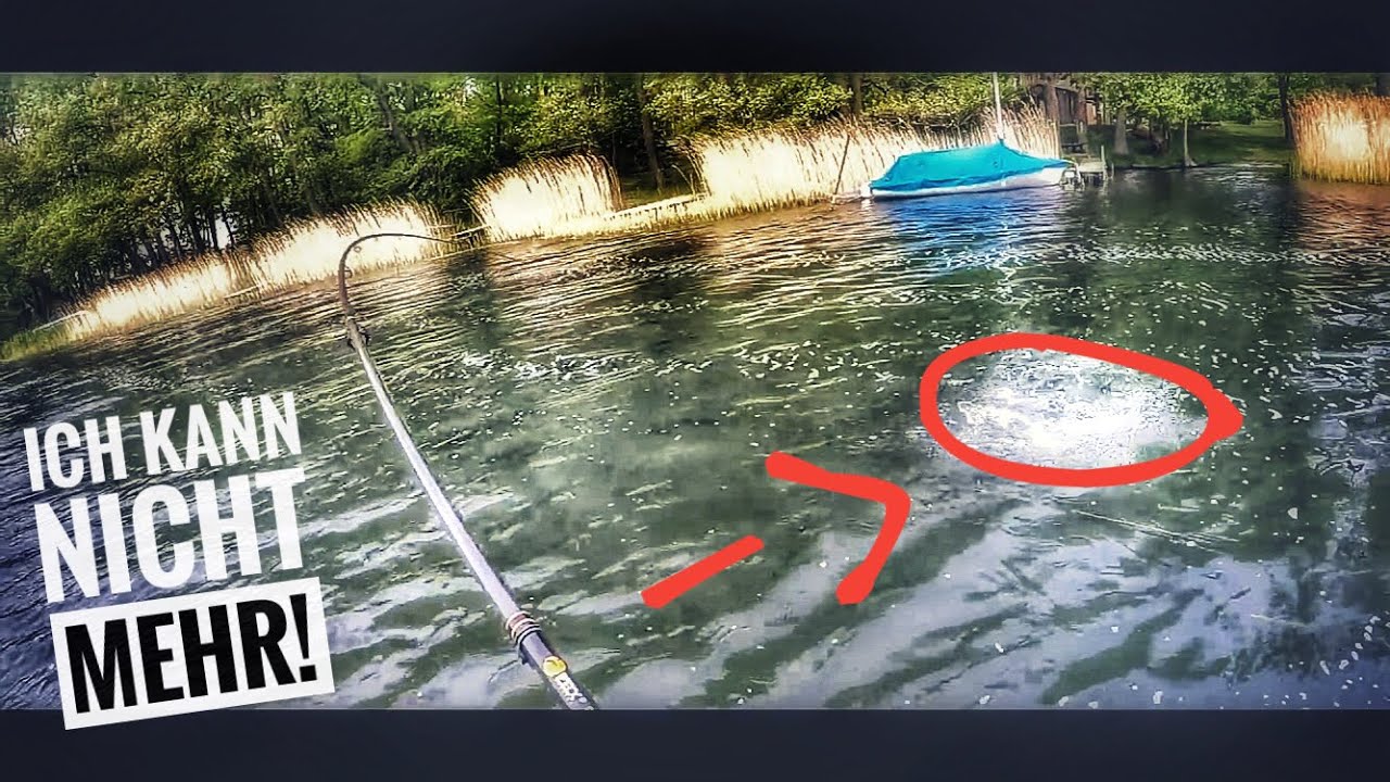 WAHNSINN - Dieser See explodiert vor lauter Fisch!