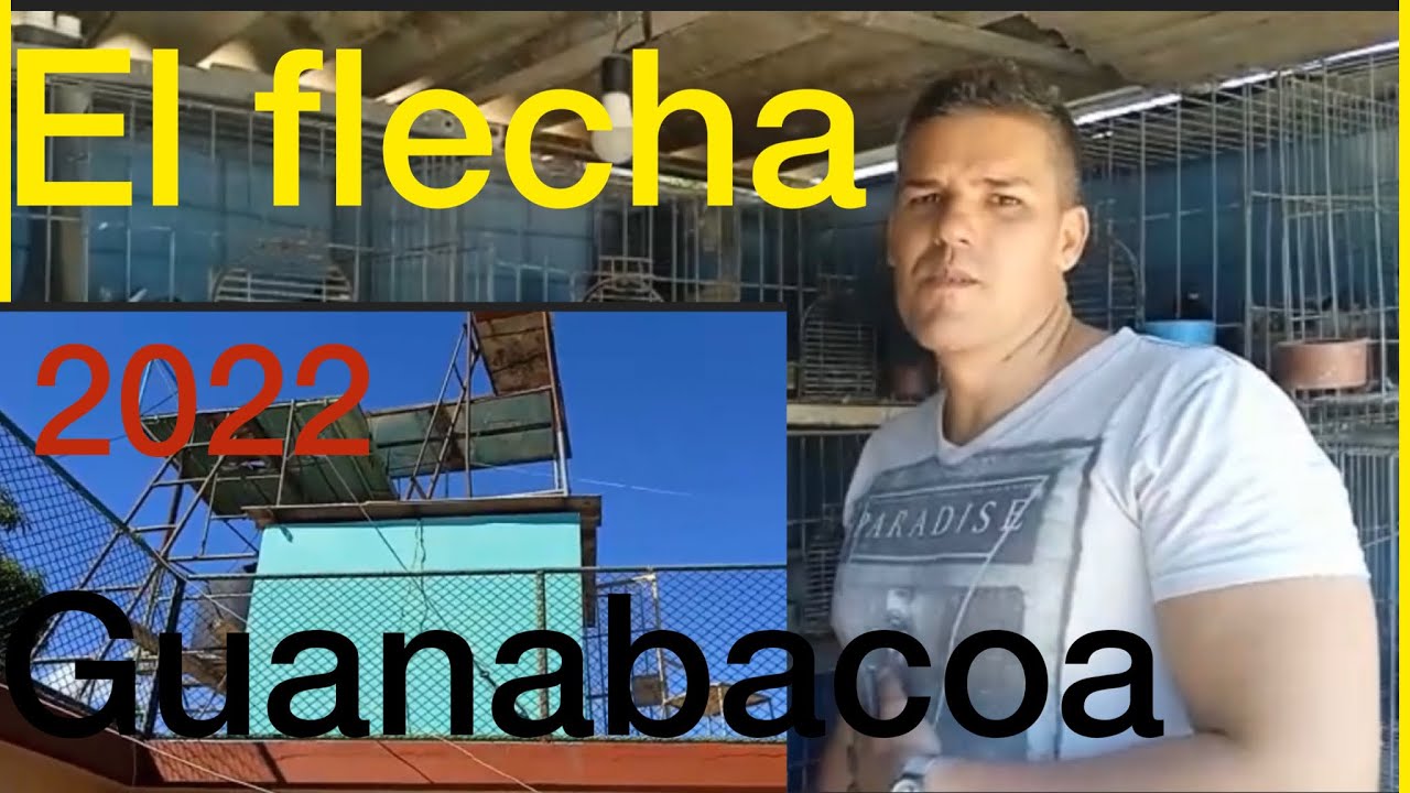 Reproductores del  Flecha gunabacoa (2022)
