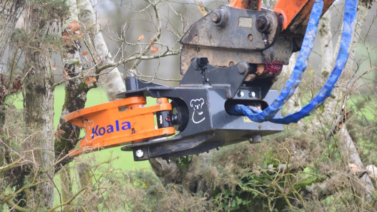 Introducing the MDE Koala 300 Tree Shearer! AJ Heywoods' New Tree Shearer