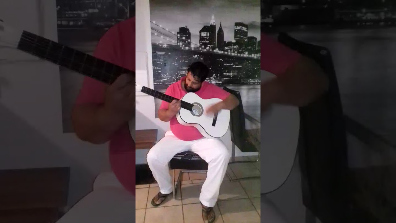 Zweigeli steinbach neues vidio mit gitarre