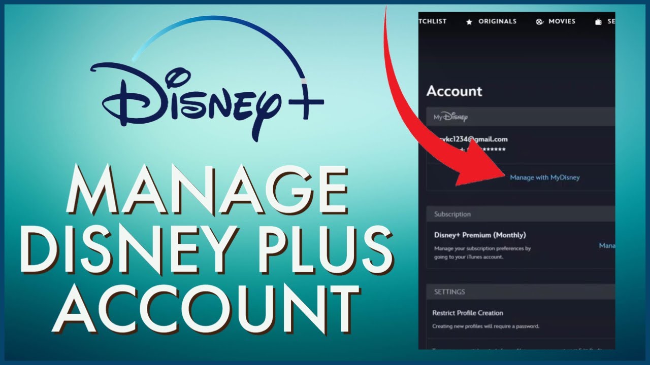 How To Manage Disney Plus Account 2024?