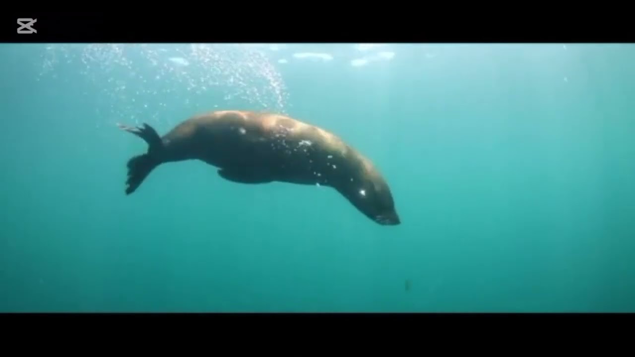 Underwater Fishing Adventure | Catching Fish in the Deep Sea 🐟🌊Deep Sea  Amazing Fish Catching Video