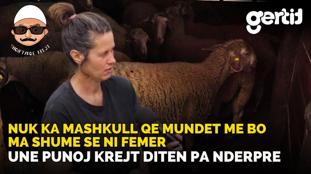 600 euro mi kane dhane per qat dele sja kom shit | Histori të Jetes