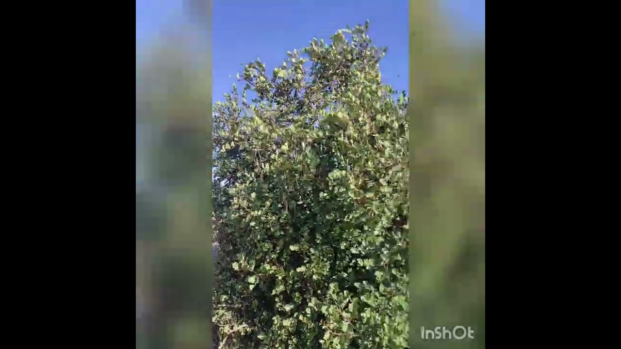 جولة بمنطقة جبل امسيتن