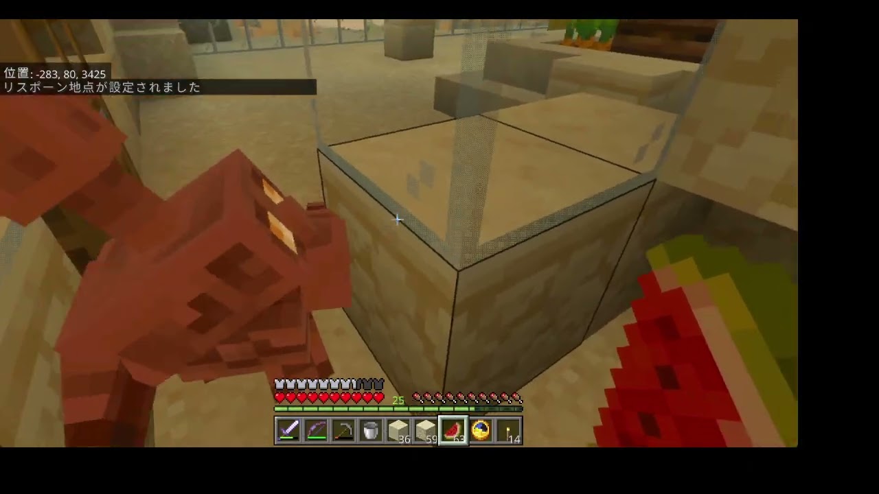 minecraft_vlog#0138